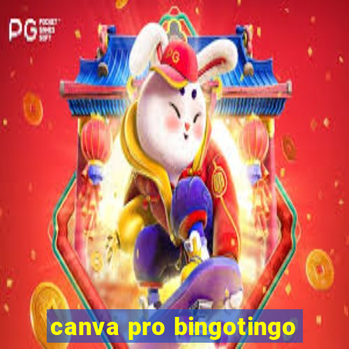 canva pro bingotingo